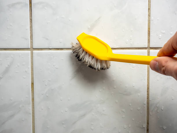 Home Mold Removal in Moores Mill, AL