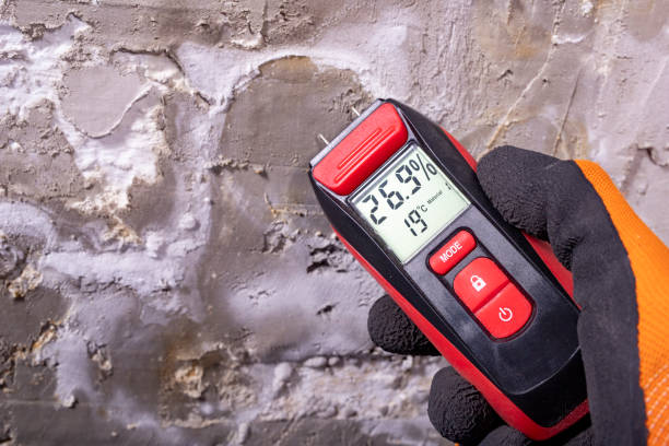 Best Fast Mold Removal  in Moores Mill, AL