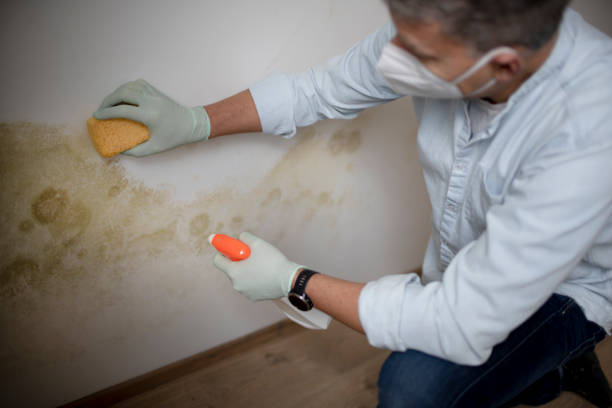 Best Crawl Space Mold Removal  in Moores Mill, AL